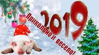 Новогодний футаж 2019 HD👍поздравление с новым Годом 2019 видео🐖футаж бесплатно footage🐖