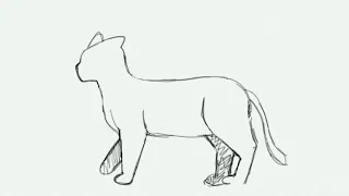Черновая анимация кошачьей походки. ( FlipaClip )