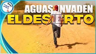 Aguas arrasan el desierto de Israel en Tierra Santa