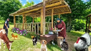 Cooking Beef Tail according to the Best Recipe.  Roasted Wild Onions Rustic style.