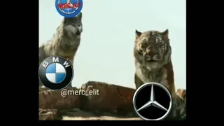 Bmw vs Mercedes prikol