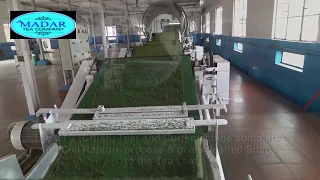 TEA PROCESSING STEPS