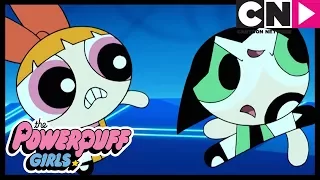 Powerpuff Girls | Computer Game Goes Wrong | Cartoon Network