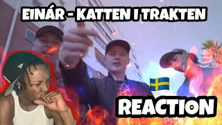 AMERICAN REACTS TO SWEDISH DRILL RAP! Einar - Katten i trakten (ENGLISH LYRICS)