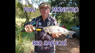 PIAU MONSTRO RIO SAPUCAÍ