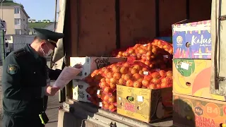 Около 35 тысяч тонн мандаринов импортировано в этом году в Россию из Абхазии