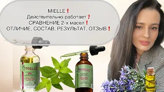 MIELLE❗️ПОМОГЛО❓ОТЛИЧИЕ 2-х МАСЕЛ❗️СОСТАВ, РЕЗУЛЬТАТ, ОТЗЫВ .❗️#уходзаволосами  #beauty #hair