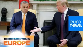 Trump meeting 'may help Viktor Orban in European Parliament elections'