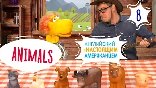 Запутанная песня про животных (Animals) - Английский для детей с Ковбоем и Таратутом - Серия 8