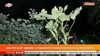 Brgy.Kamuning's Urban Farming in partnership with PWD organization.