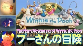 ºoº HKDL 香港ディズニーランド プーさんの冒険 アトラクションライドビュー The Many Adventures of Winnie the Pooh ride view