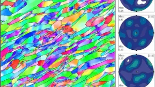 Subgrain rotation recrystallization and intracrystalline recovery of halite during shearing