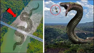 15 Monstruos Mortales Que Viven En El Rio Amazonas