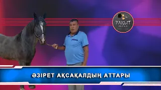 ATАҚТЫ ПРУЖИНА АТТЫ ТҰЛПАР ( Уакыт керек )