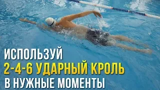 2-4-6 ударный кроль. Когда используется каждый? Работа ног в плавании кролем