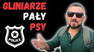 Jak Amerykanie nazywają POLICJANTÓW? 🇺🇸 Dave z Ameryki