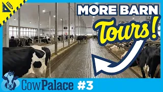 3 More Dairy Farms to See! + A Change of Heart?? | Building Our Cow Palace - Ep3