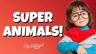 Animal Superheroes! | It's A Wonderful Day | A learning show for kids 😊 and parents