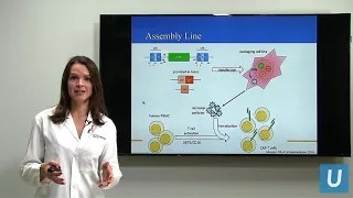 CAR T at UCLA: Driving the Progress of Engineered Cell Therapy | Sarah Larson, MD | UCLAMDChat