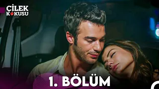 Çilek Kokusu - 1. Bölüm (HD)