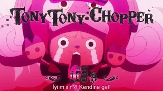 One Piece Usopp ve Chopper takım çalışması :d (Türkçe Altyazı)