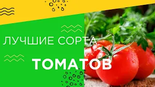 ЛУЧШИЕ СОРТА ДЛЯ ТЕПЛИЦЫ!