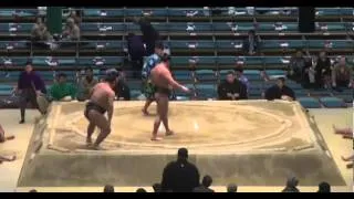 Aonosho vs Ryuonami Day 2 Sumo Haru Basho March 2014