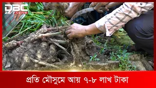 ৬ হাজার বস্তায় আদা চাষ | DBC News Special