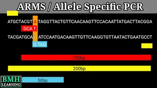 Allele Specific PCR | ARMS PCR |