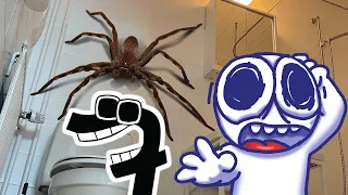 Rabbert finds spider in toilet | F Reaction