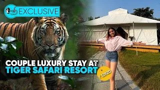 Couple Stay At This Luxurious Tiger Safari Resort In Tadoba: ₹12920, All Inclusive | Curly Tales