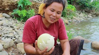 survival in the rainforest-women found 5 ostrich egg for cook -Eating delicious HD