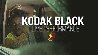 Kodak Black - Vlog & Live Performance Video