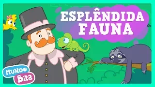Mundo Bita - Esplêndida Fauna ft. Jr Black [clipe infantil]