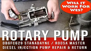 Rotary Pump Rebuild for Watch Wes Work 1650 Oliver Tractor - DBG Stanadyne Roosa Vintage Pump Repair