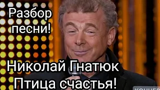 Птица счастья! Разбор песни!