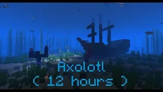 C418 - Axolotl ( Minecraft Update Aquatic Music ) ( 12 hours )