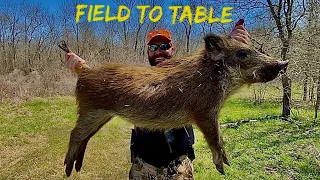 Public Land WILD HOG {Catch Clean & Cook} FIELD TO TABLE