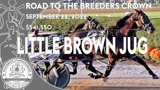 2022 Little Brown Jug - Bythemissal - 3CP