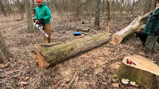 NEOTEC NS 892 powering Alaskan chainsaw mill