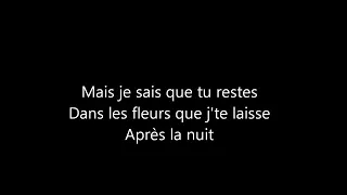 Julien Doré - Sublime et silence Paroles