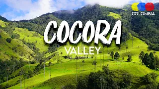 Cocora Valley Colombia 4K - Traveling Colombia