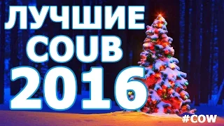 Лучшие Coub видео 2016