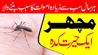 True Facts: The Mosquito | Surprising information