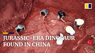 180-million-year-old nearly intact dinosaur fossil unearthed in China