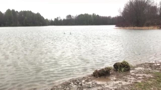 Overflowing pond.. the dam has been breached!