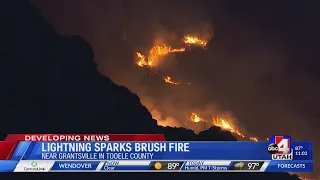 Lightning Sparks Brush Fire