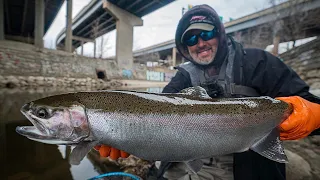 Urban Steelhead Fishing- FLOAT DROPS!