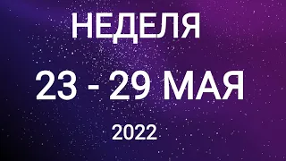 СТРЕЛЕЦ ♐. НЕДЕЛЯ 23-29 МАЯ 2022. Таро прогноз.