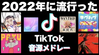 【TikTok】全部知ってたら依存性！？2022年流行ったTikTok音源メドレー！